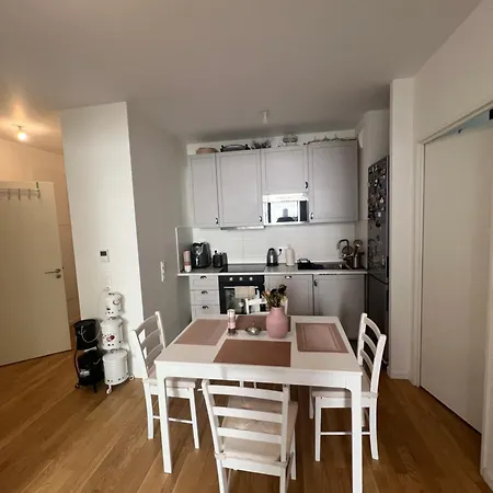 T3 De Standing Paris Apartment