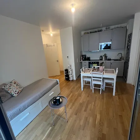 T3 De Standing Paris Apartment